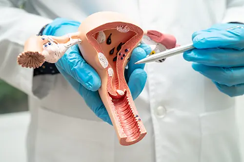 Ginecologia e Obstetrícia